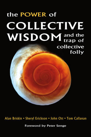 Cover image: The Power of Collective Wisdom 1st edition 9781576754450