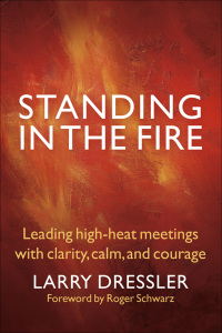 Imagen de portada: Standing in the Fire 9781576759707