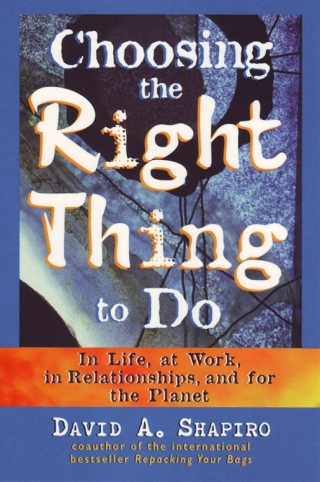 Cover image: Choosing the Right Thing to Do 1st edition 9781576750575
