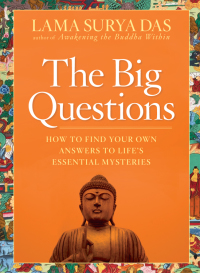 Cover image: The Big Questions 9781594862083