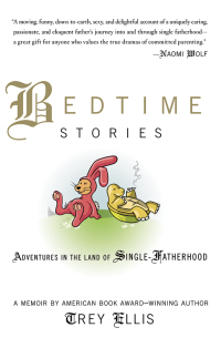 Cover image: Bedtime Stories 9781594865299