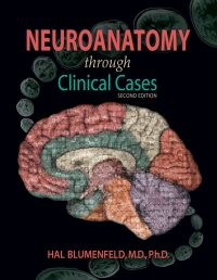 Titelbild: Neuroanatomy through Clinical Cases 2nd edition 9780878936137