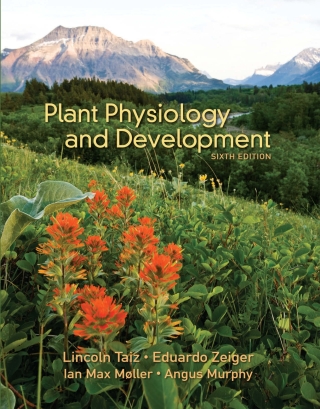 Cover image: Plant Physiology & Development 6th edition 9781605357454