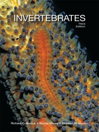 Cover image: Invertebrates 3rd edition 9781605353753