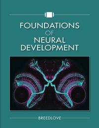 صورة الغلاف: Foundations of Neural Development 1st edition 9781605355795