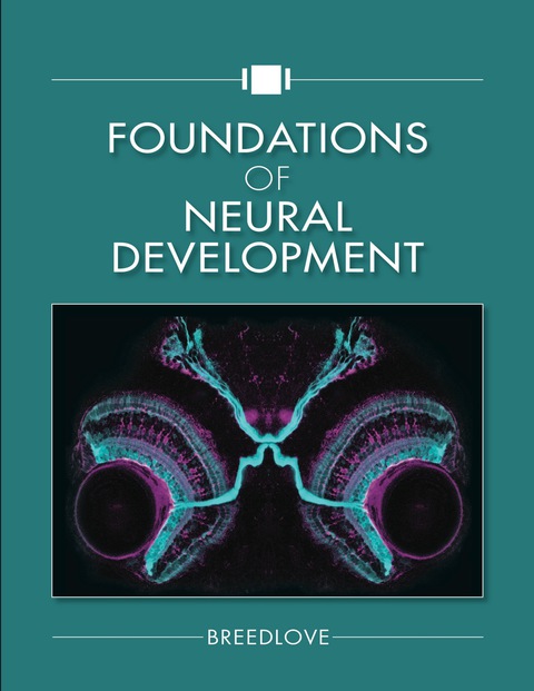 Foundations of Neural Development, 1st Edition - FULL INSTANT DOWNLOAD | PDF DOCX EPUB