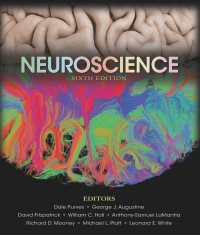 Cover image: Neuroscience 6th edition 9781605353807