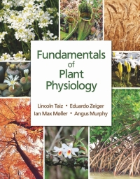Immagine di copertina: Fundamentals of Plant Physiology 1st edition 9781605357904