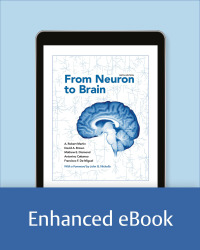 Cover image: From Neuron to Brain 6th edition 9781605354392