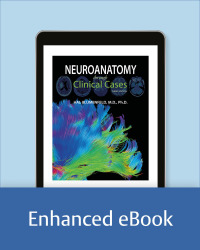 Immagine di copertina: Neuroanatomy through Clinical Cases 3rd edition 9781605359625