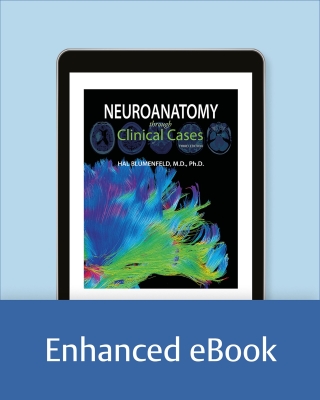 Neuroanatomy through Clinical Cases 3rd edition