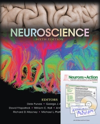 Cover image: Neuroscience with Neurons in Action 6th edition 9781605353807