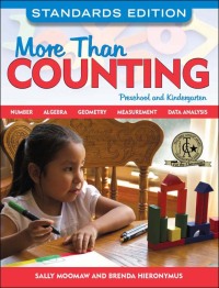 Cover image: More Than Counting 9781605540290