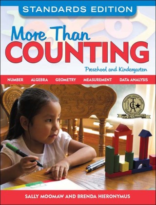 Imagen de portada: More Than Counting 9781605540290