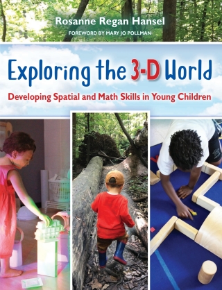 Imagen de portada: Exploring the 3-D World 1st edition 9781605546926