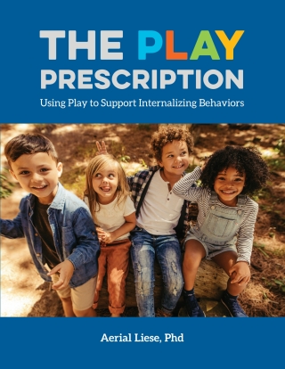 Cover image: The Play Prescription 1st edition 9781605547466