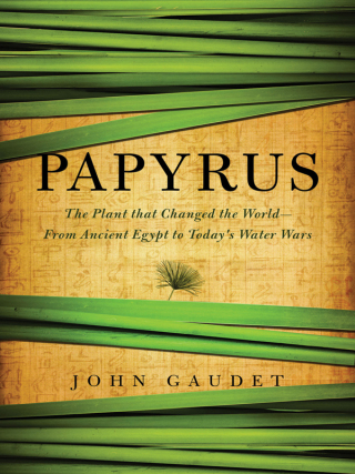 Cover image: Papyrus 9781605988283