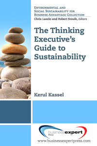 Imagen de portada: The Thinking Executive's Guide to Sustainability 9781606494196