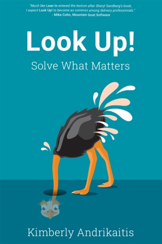 Cover image: Look Up! 9781606495667
