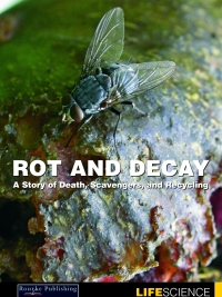 Cover image: Rot and Decay 9781612362328