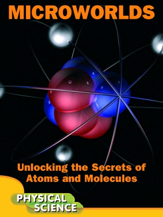 Cover image: Microworlds 9781606949962