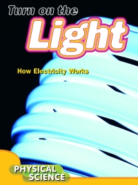 Cover image: Turn On The Light 9781612362335