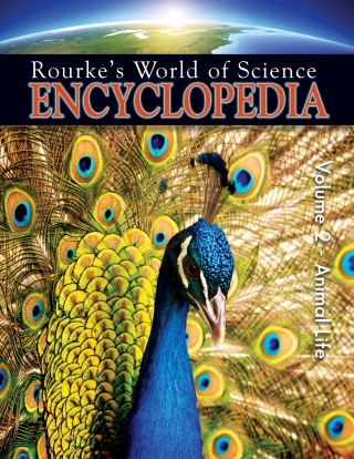 صورة الغلاف: Science Encyclopedia Animal Life 9781606940136