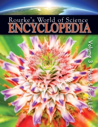 Cover image: Science Encyclopedia Plant Life 9781606940143
