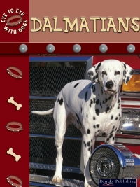 Imagen de portada: Dalmatians 9781595151605