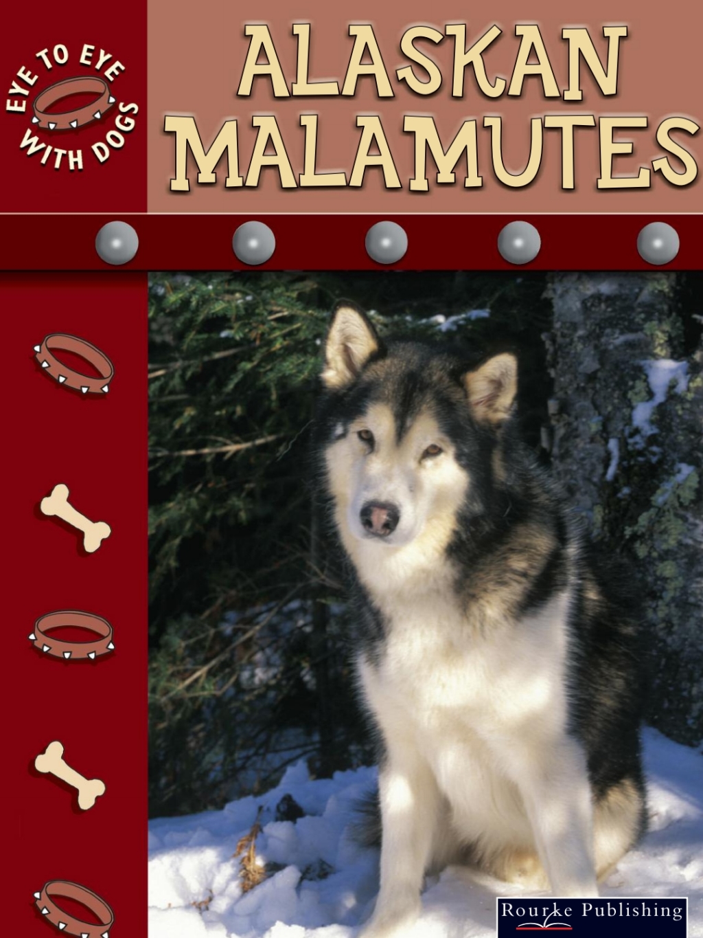Alaskan Malamutes