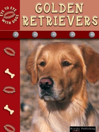 صورة الغلاف: Golden Retrievers 9781589523289