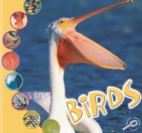 Cover image: Birds 9781595154163