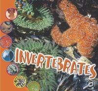 Cover image: Invertebrates 9781606940709