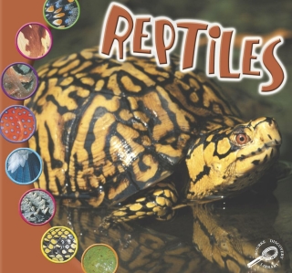 表紙画像: Reptiles 9781595154217