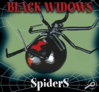 Cover image: Black Widows 9781606940945