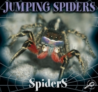 表紙画像: Jumping Spiders 9781606940976