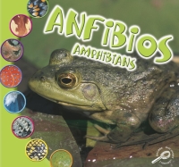 Cover image: Anfibios 9781606941539