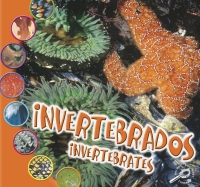 表紙画像: Invertebrados 9781606941577