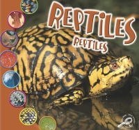 表紙画像: Reptiles 9781595154217