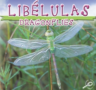 Cover image: Libelulas 9781595156525