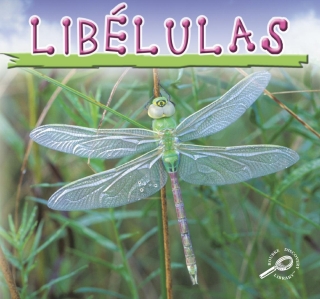 Imagen de portada: Libelulas 9781606942208