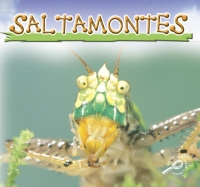 Cover image: Saltamontes 9781606942215