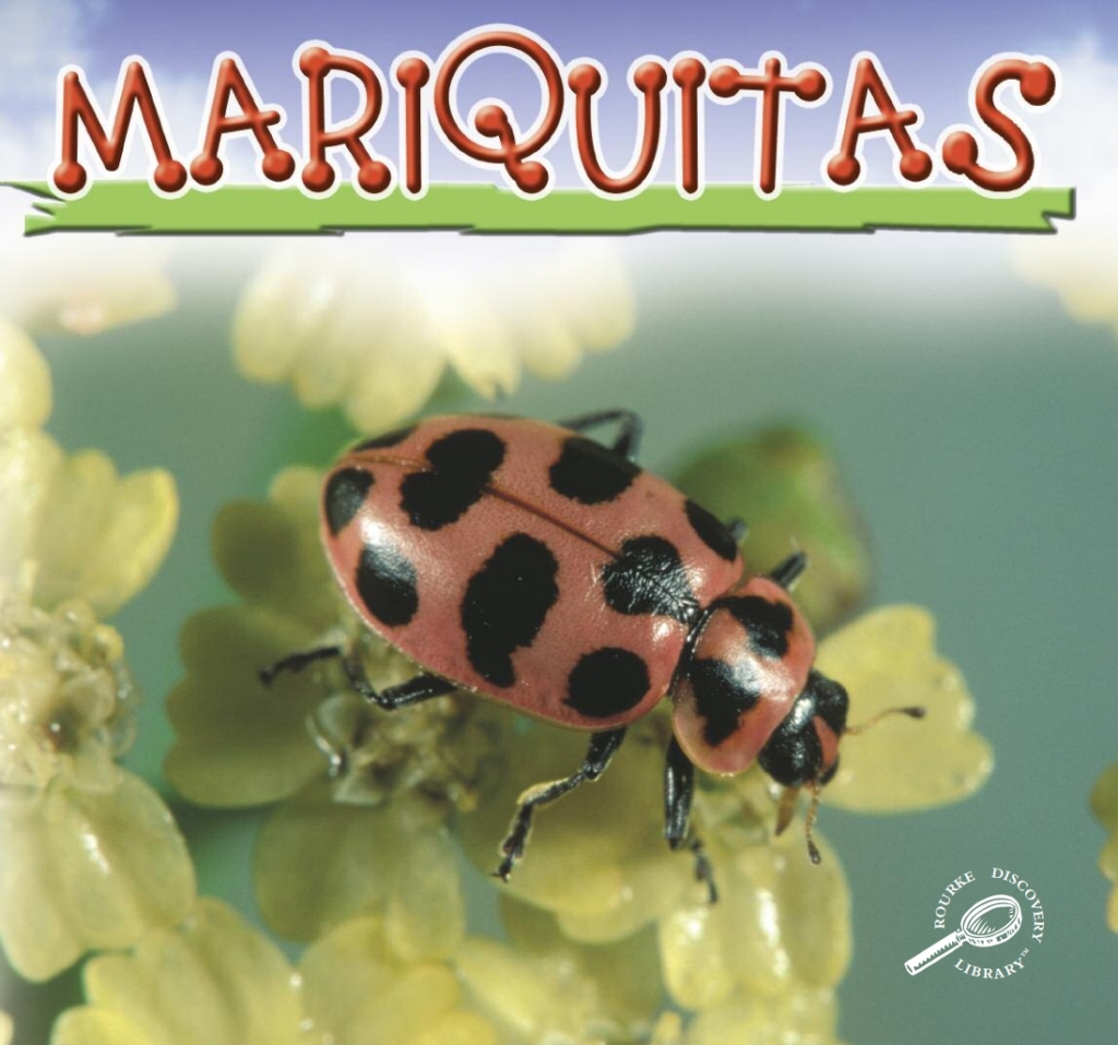 Mariquitas
