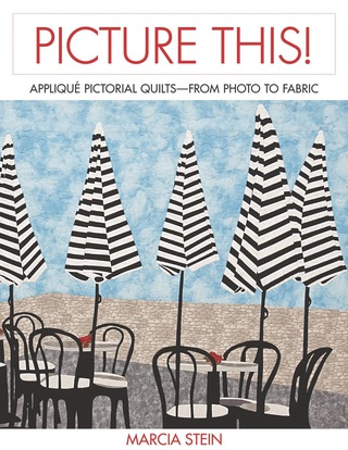 表紙画像: Picture This! 9781571208385