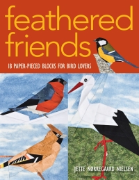 Cover image: Feathered Friends 9781571205377