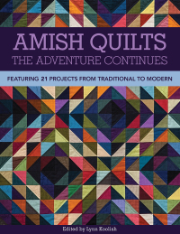 Cover image: Amish Quilts, The Adventure Continues 9781607057918