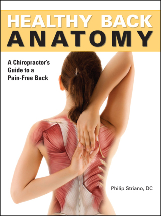 Imagen de portada: Healthy Back Anatomy 9781684120888