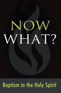 Imagen de portada: Now What? Baptism in the Holy Spirit 9781607319733