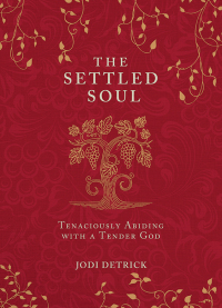 Cover image: The Settled Soul 9781607316336