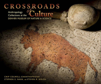Cover image: Crossroads of Culture 9781607320241